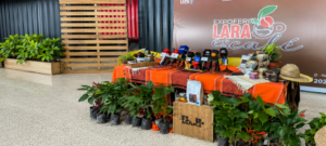 Lara impulsa el café venezolano hacia nuevos mercados con Expoferia Lara es Café 2026