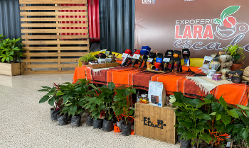 Lara impulsa el café venezolano hacia nuevos mercados con Expoferia Lara es Café 2026
