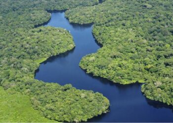 Recuperación hídrica en la Amazonía brasileña tras un bienio de sequía