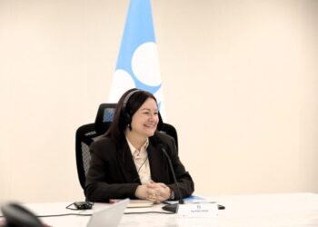 Titular de Hidrocarburos representa a Venezuela ante la OPEP+ y apoya consensos para equilibrar el mercado petrolero
