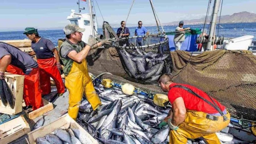 El ámbito pesquero y de acuicultura experimentó un incremento del 15% en los meses iniciales de 2026