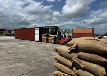 Acción 413 suma una nueva compañía a la nómina exportadora de EMCOEX con despacho de café verde a Turquía