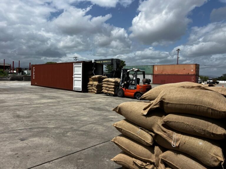 Acción 413 suma una nueva compañía a la nómina exportadora de EMCOEX con despacho de café verde a Turquía