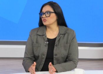 Elizabeth Pereira plantea trazar un plan energético fundado en la concertación internacional