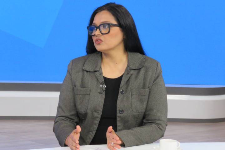 Elizabeth Pereira plantea trazar un plan energético fundado en la concertación internacional