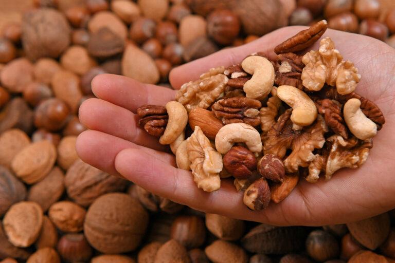 Consumo habitual de frutos secos se vincula con un mejor rendimiento cognitivo, según estudio de la Universidad de Monash