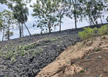 Autoridades colombianas informan sobre la erupción de un volcán de lodo en San Pedro de Urabá