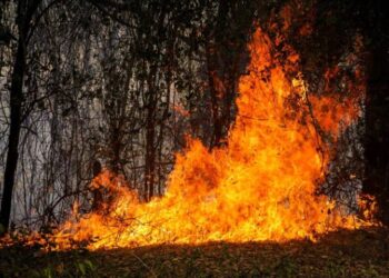 Colombia combate 39 siniestros forestales mientras Tolima sufre la peor catástrofe