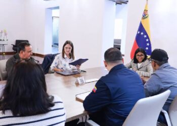 Mandataria examina estrategias de respuesta con el Estado Mayor Eléctrico tras sismos