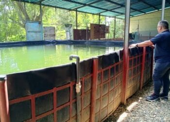 Fomentan la producción agrícola autosostenible en la Comuna Los Coyones de Cojedes