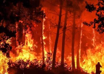 Crece la alarma sanitaria global ante el impacto de los incendios forestales
