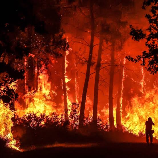 Crece la alarma sanitaria global ante el impacto de los incendios forestales