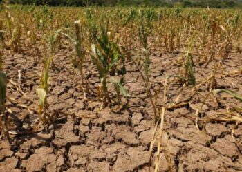 Mayor impacto de El Niño en El Salvador se presentará entre enero y abril de 2027