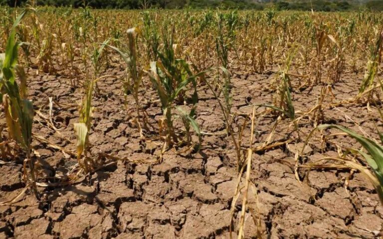 Mayor impacto de El Niño en El Salvador se presentará entre enero y abril de 2027