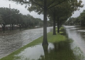 Lluvias récord e inundaciones históricas paralizan la ciudad japonesa de Nagoya