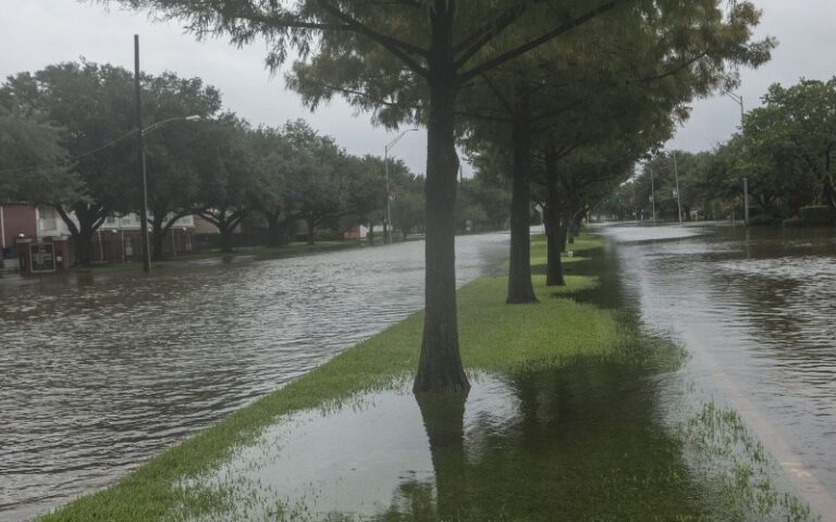 Lluvias récord e inundaciones históricas paralizan la ciudad japonesa de Nagoya
