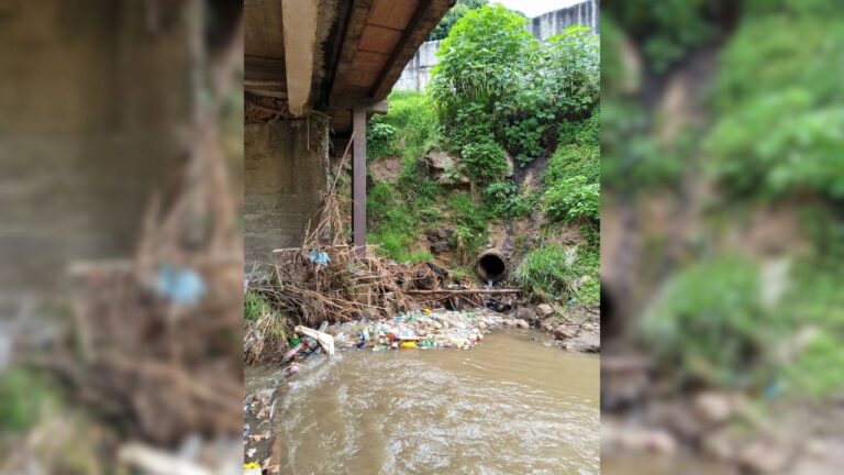 Alertan sobre el deterioro de las bases de puente