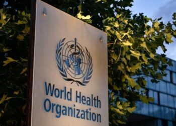 OMS analiza los riesgos de cáncer y otras enfermedades según sexo y nivel económico